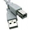 Professional Cable USB-06 USB A to B 6-ft Cable - Gray