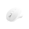 Matias Wired USB-A PBT Mouse White